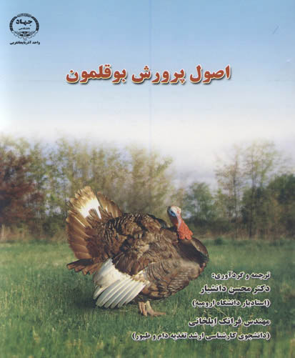 اصول پرورش بوقلمون